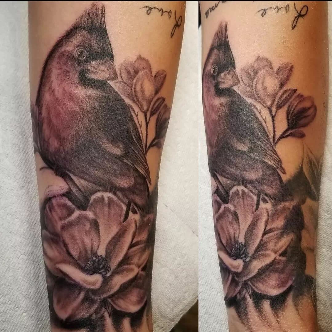 Cardinal & magnolias